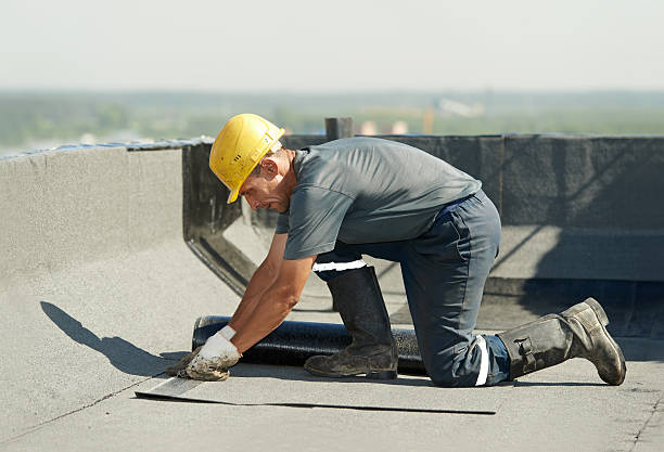 Best Insulation Installation Services in Lake Camelot, IL